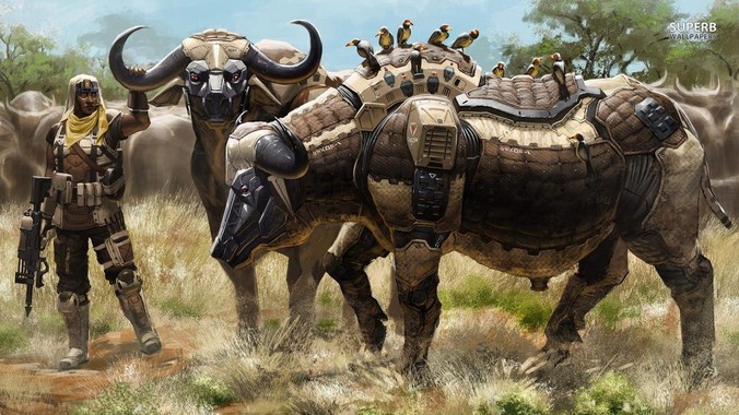 现在学编程晚不晚？